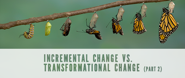 Incremental Change vs. Transformational Change Part 2