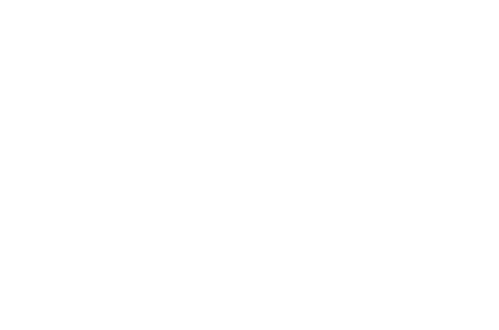 lutheran-witness-logo.png